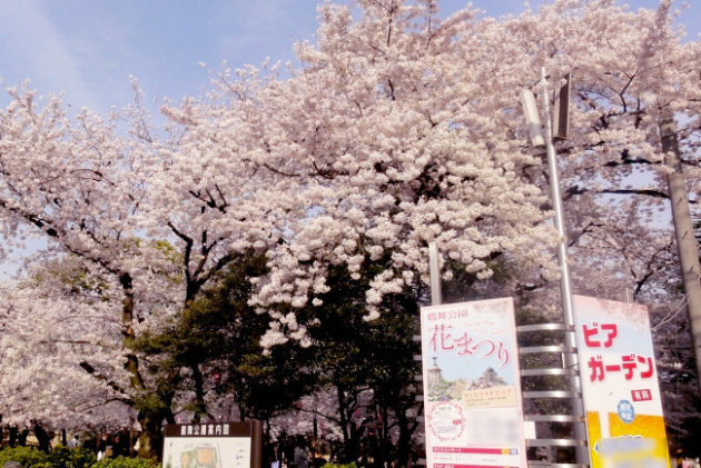 鶴舞公園花まつり： お花見ビヤガーデン