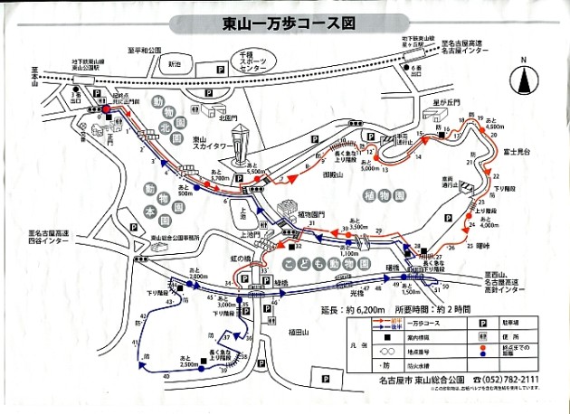 桜が見頃！東山一万歩コース：名古屋市 2019-0328