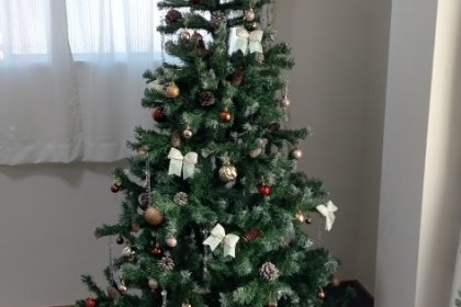 クリスマスツリー：シェアハウス名城公園